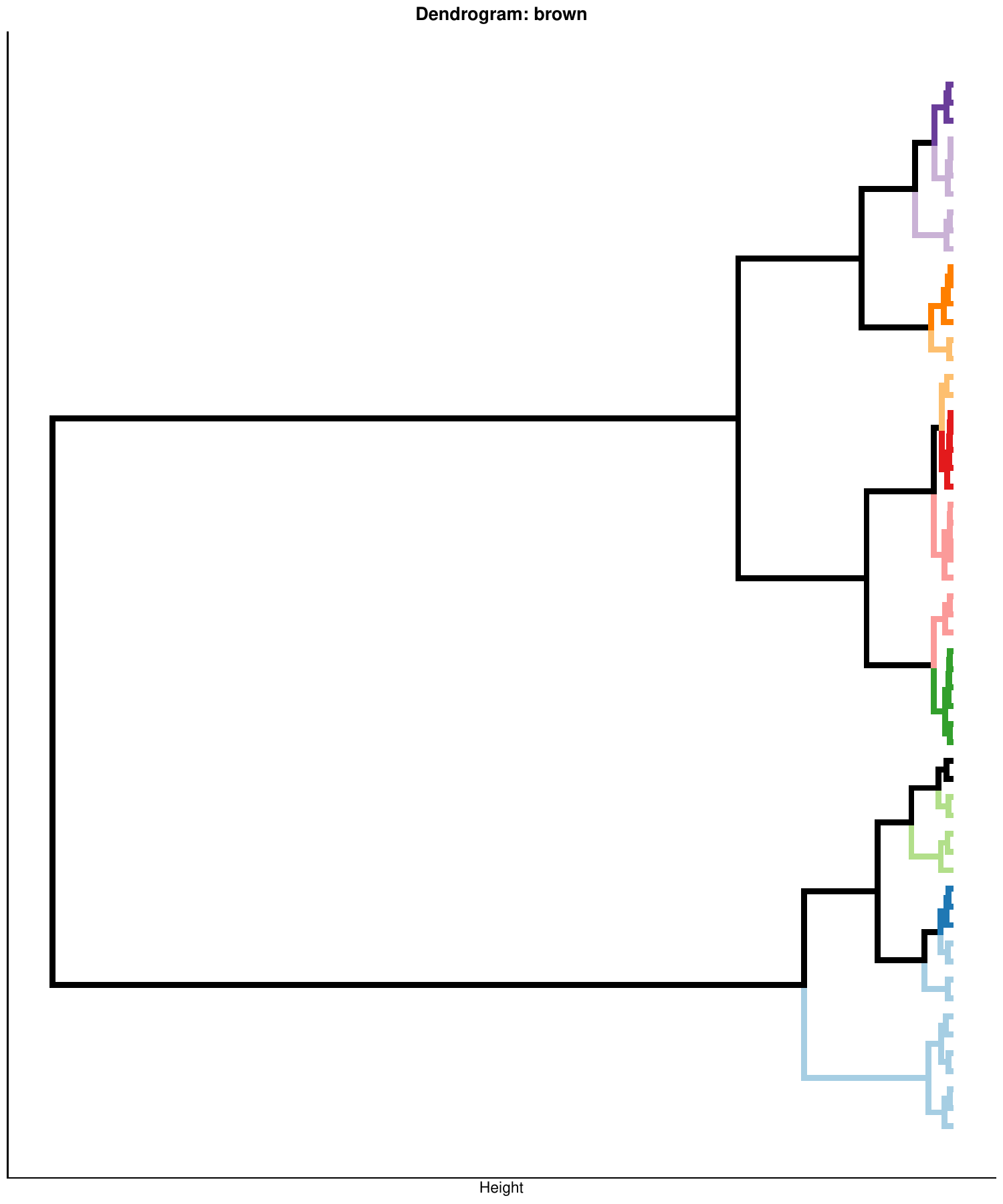 Dendrogram of cell-type features clustered into cell groups for one TF module