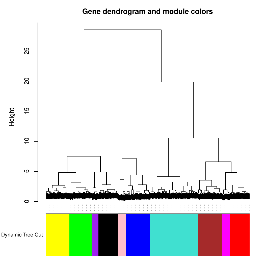 TF clustering dendrogram with module colors before merging