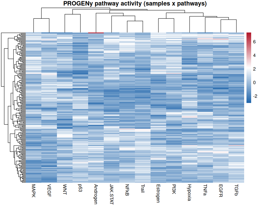 Heatmap of PROGENy pathway activity scores clustered by sample and pathway
