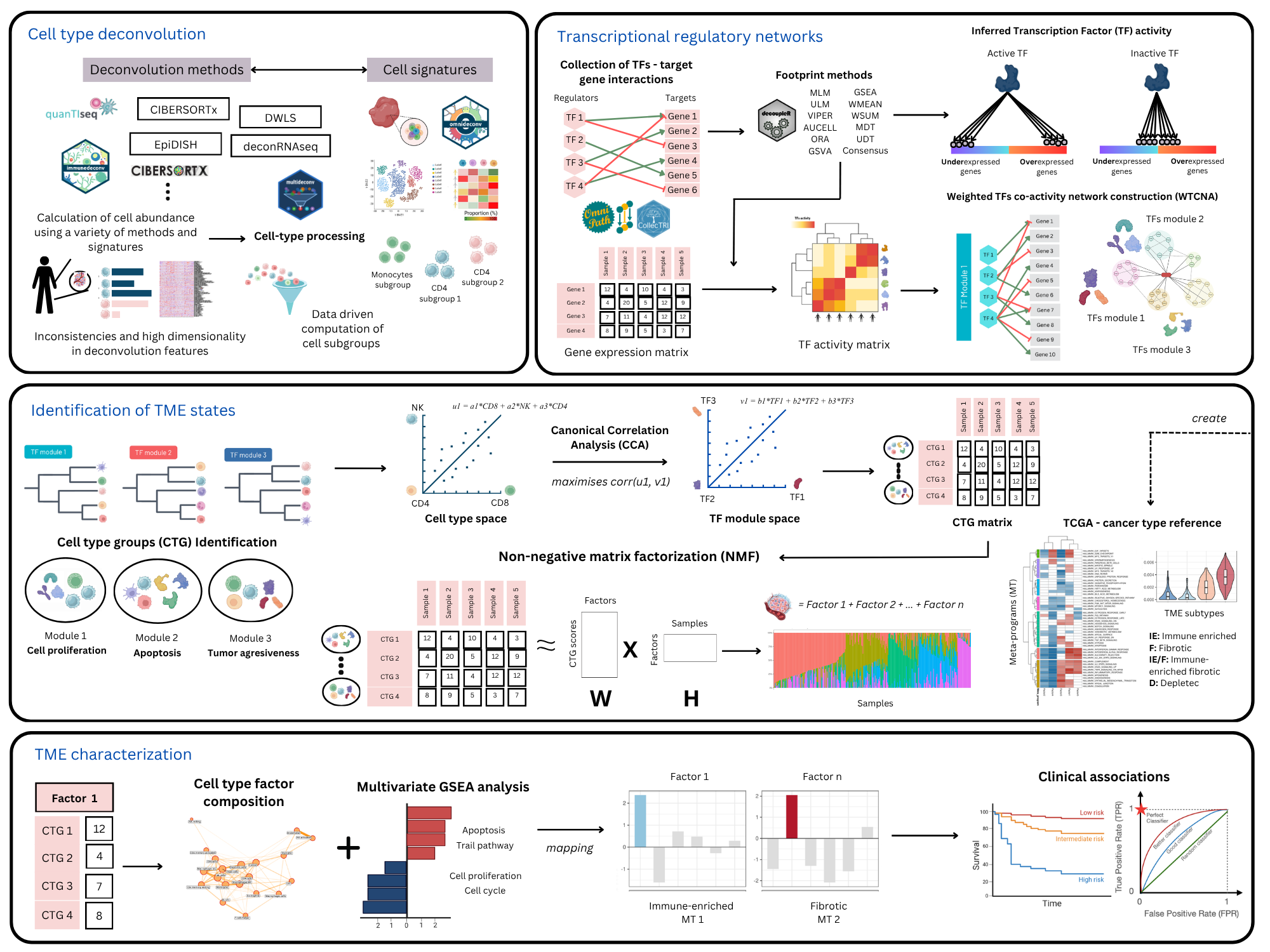 Overview of the CellTFusion pipeline