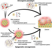 Figure from: Evidence of epigenetic oncogenesis: a turning point in cancer research