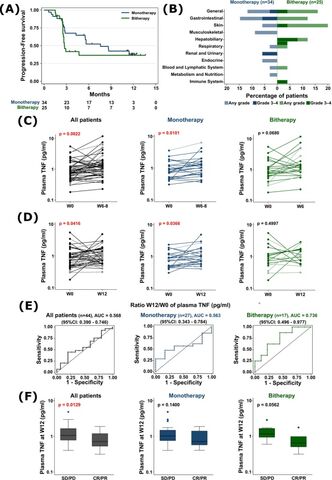 Figure from: TNF signature in advanced melanoma patients treated with immune checkpoint inhibitors: results from the MELANFα clinical study