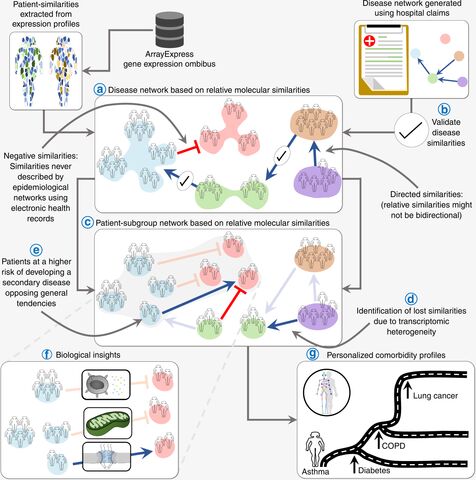 Figure from: Interpreting molecular similarity between patients as a determinant of disease comorbidity relationships