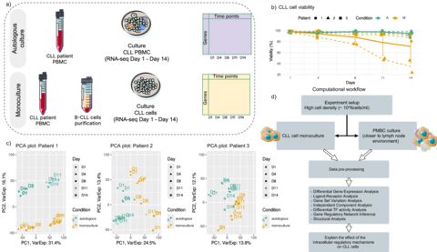 Figure from: Data driven network inference and longitudinal transcriptomics unveil dynamic regulation in chronic lymphocytic leukaemia models