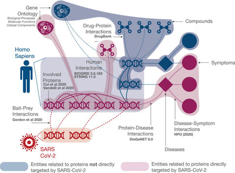 Figure from: CovMulNet19, integrating proteins, diseases, drugs, and symptoms: a network medicine approach to COVID-19