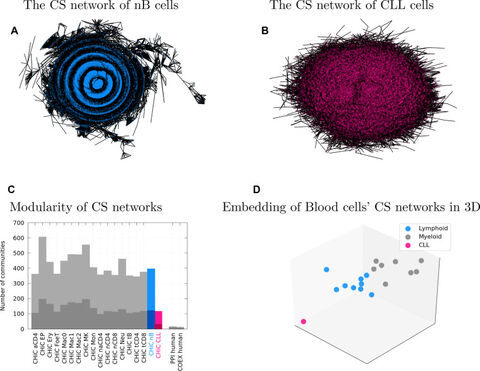 Figure from: Chromatin network markers of leukemia