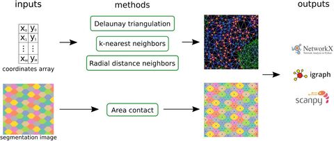 Figure from: Tysserand — fast and accurate reconstruction of spatial networks from bioimages