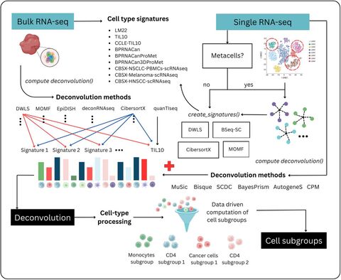 Figure from: multideconv – an integrative pipeline for efficiently combining first and second generation cell type deconvolution results