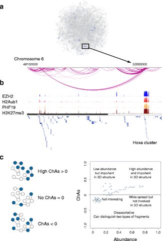 Figure from: Integrating epigenomic data and 3D genomic structure with a new measure of chromatin assortativity