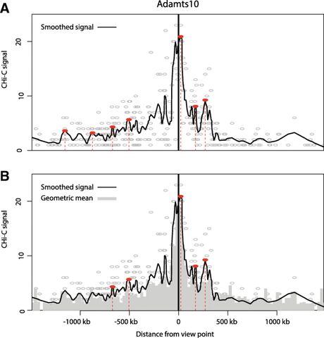 Figure from: ChiCMaxima: a robust and simple pipeline for detection and visualization of chromatin looping in Capture Hi-C