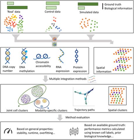 Figure from: Community-wide hackathons to identify central themes in single-cell multi-omics