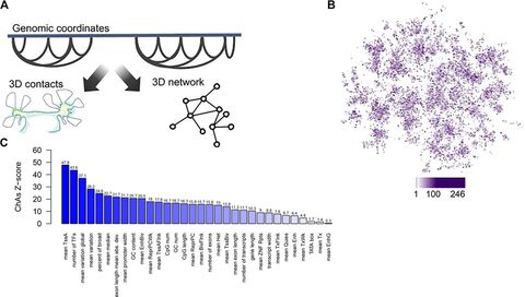 Figure from: Chromatin network analyses: towards structure-function relationships in epigenomics