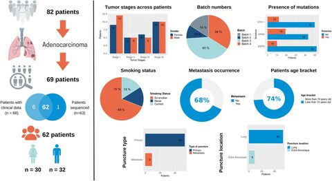 Figure from: Transcriptomics profiling of the non-small cell lung cancer microenvironment across disease stages reveals dual immune cell-type behaviors
