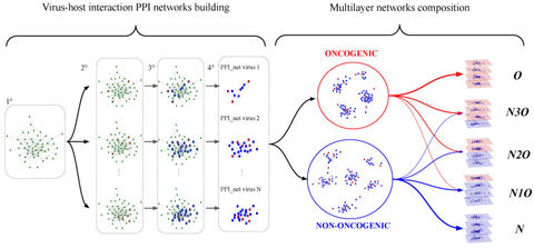 Figure from: Unraveling the network signatures of oncogenicity in virus-human protein-protein interactions